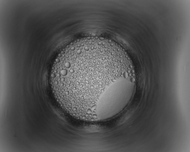 X0000086340594200704131745