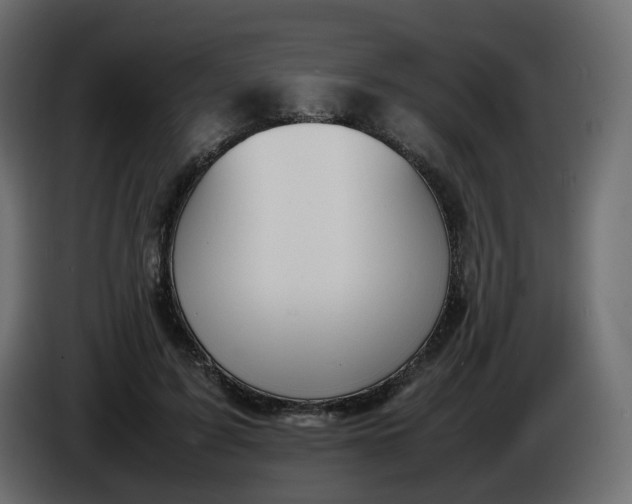 X0000086340595200704131745