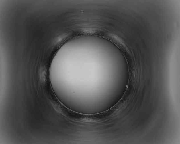 X0000086340596200704131745