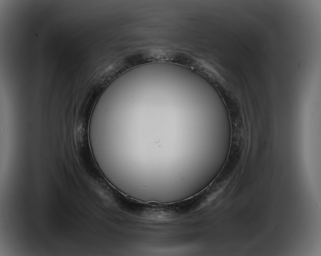 X0000086340597200704131745