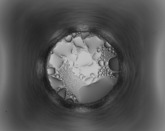 X0000086340598200704131745