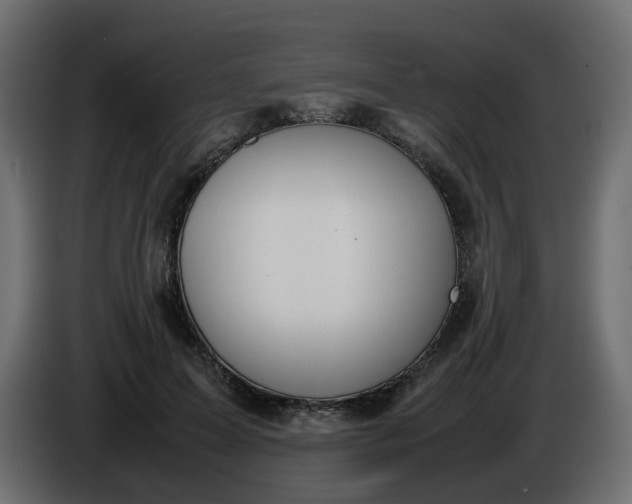 X0000086340599200704131745
