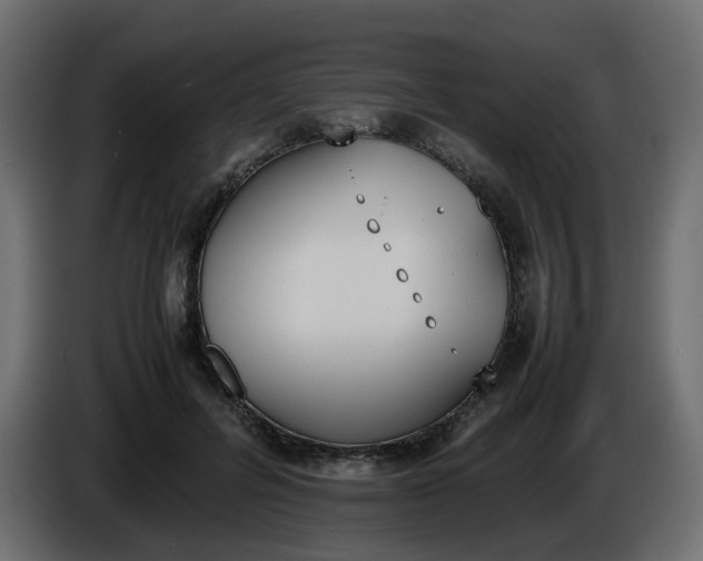 X0000086340600200704131745