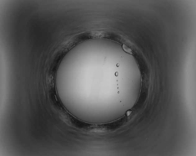 X0000086340601200704131745