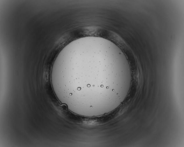 X0000086340602200704131745