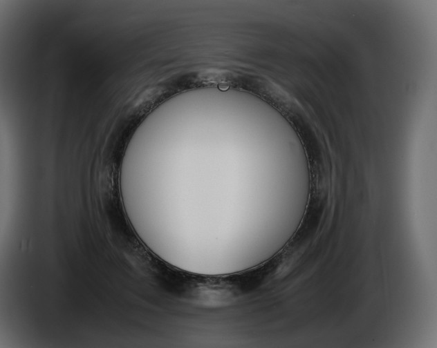 X0000086340603200704131745