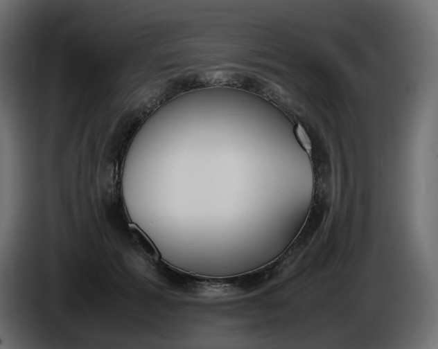 X0000086340605200704131745