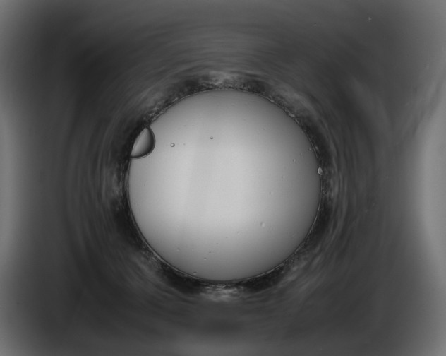X0000086340607200704131745