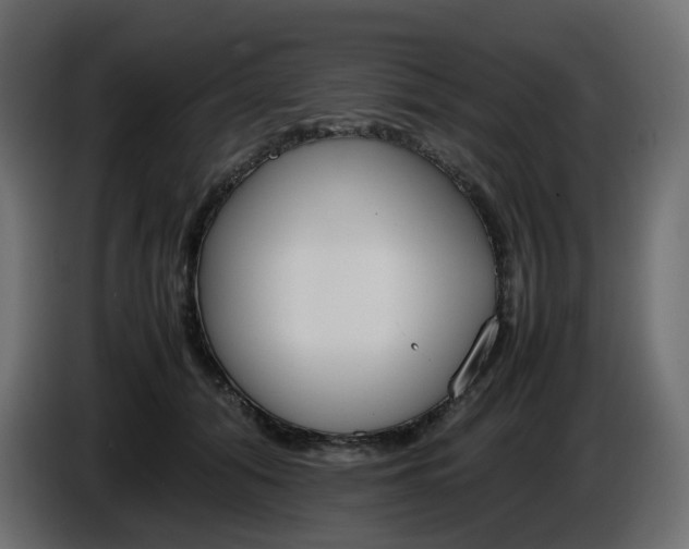 X0000086340608200704131745