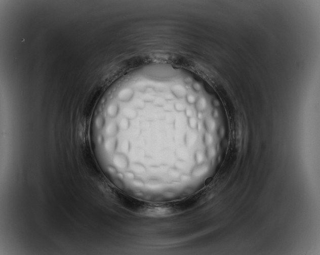 X0000086340610200704131745
