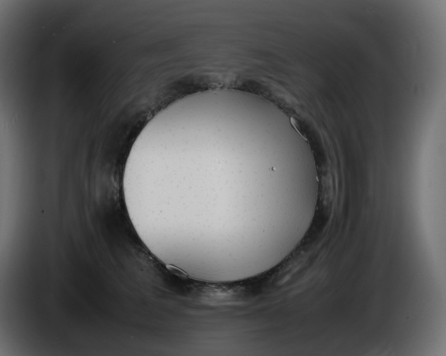 X0000086340613200704131745