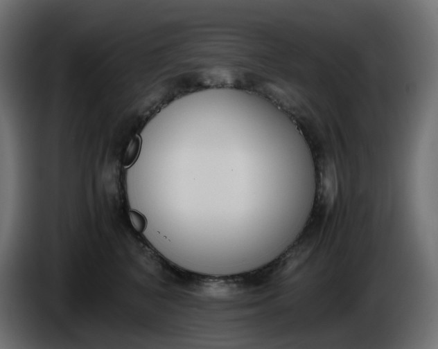 X0000086340616200704131745