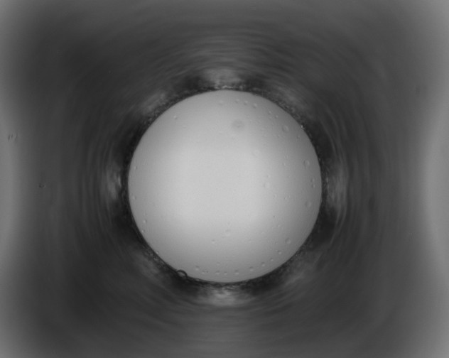 X0000086340618200704131745