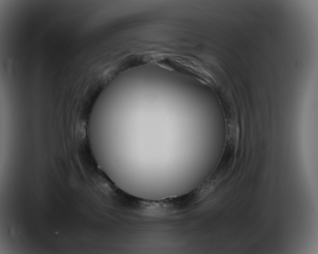 X0000086340621200704131745