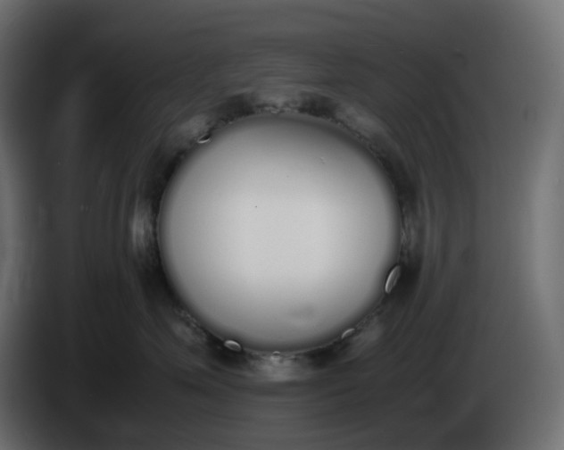 X0000086340623200704131745