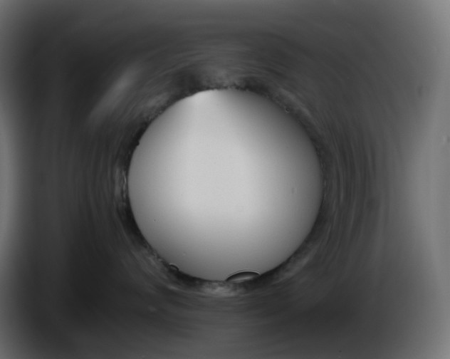 X0000086340624200704131745