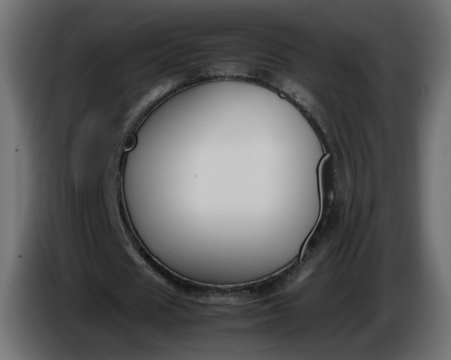 X0000086340625200704131744