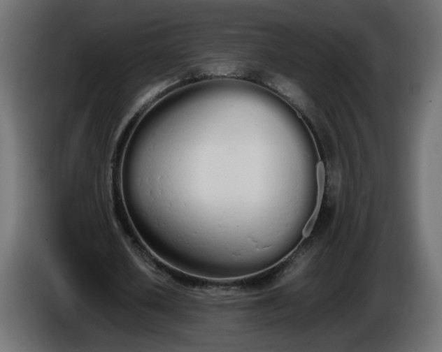 X0000086340626200704131744