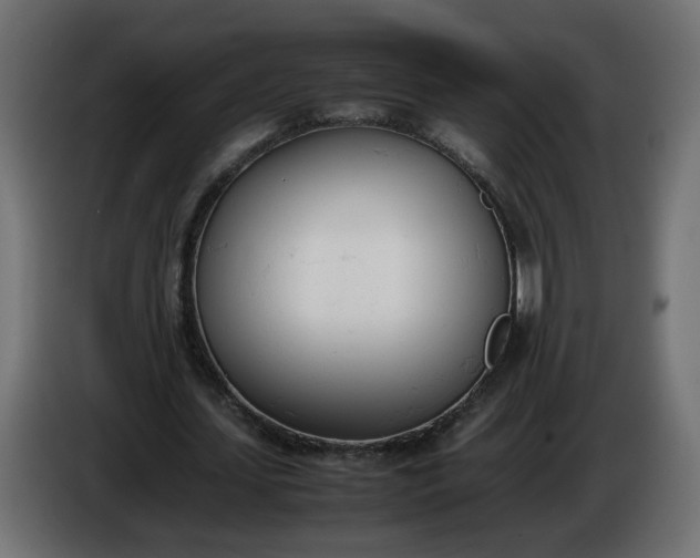 X0000086340627200704131744