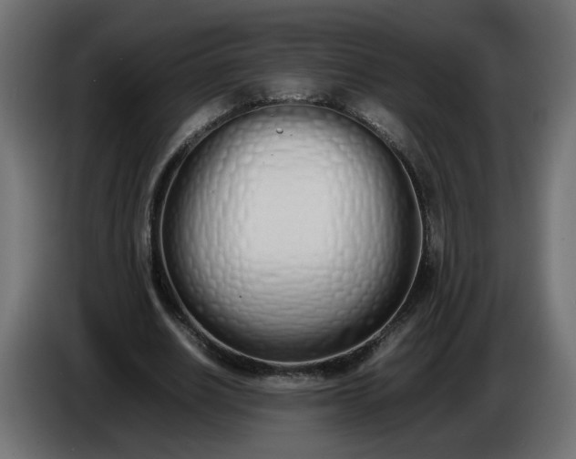 X0000086340630200704131744