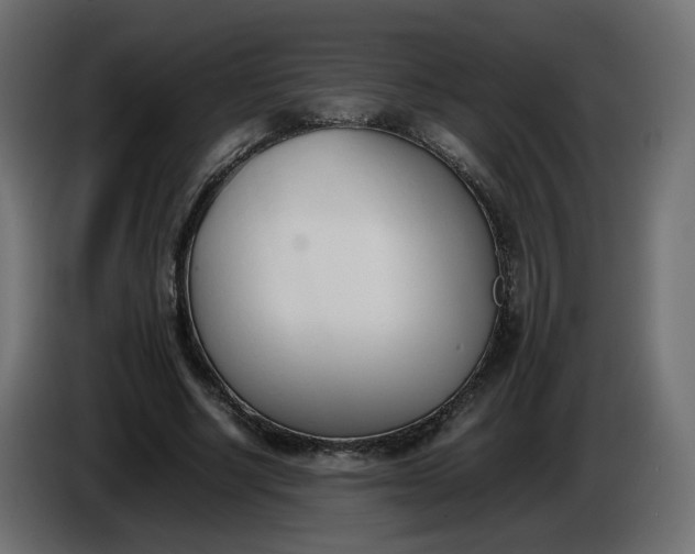 X0000086340634200704131744