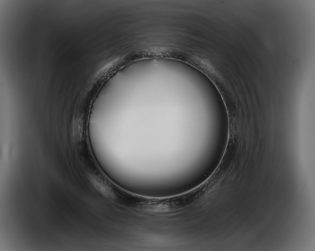 X0000086340640200704131744