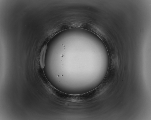 X0000086340641200704131744