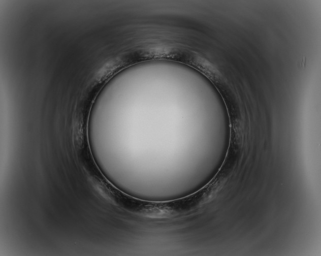 X0000086340642200704131744