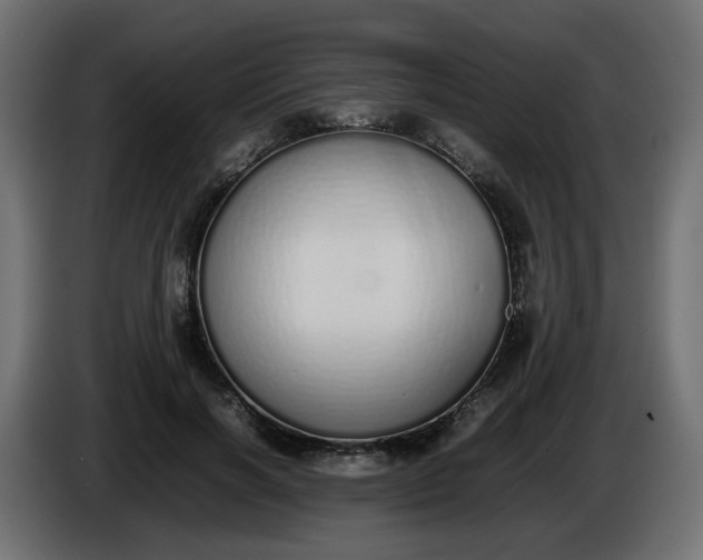 X0000086340646200704131744