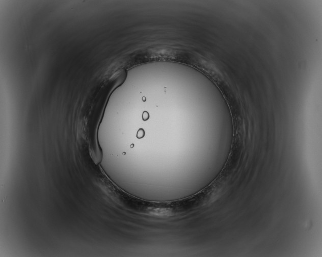 X0000086340649200704131744