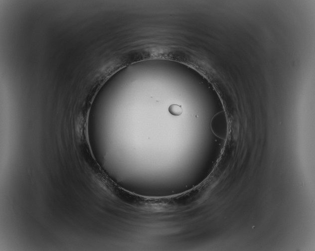 X0000086340650200704131744