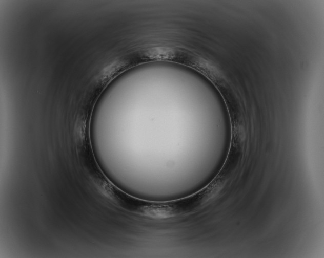 X0000086340652200704131744