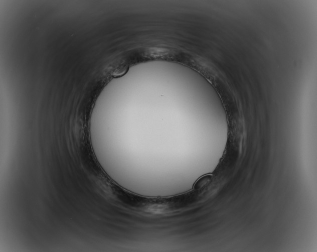 X0000086340653200704131744