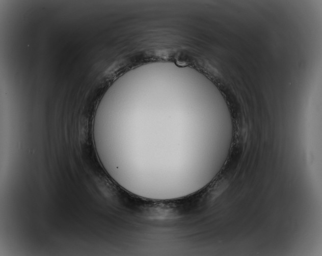 X0000086340656200704131745