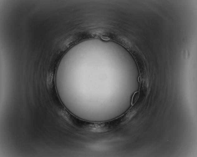 X0000086340660200704131745