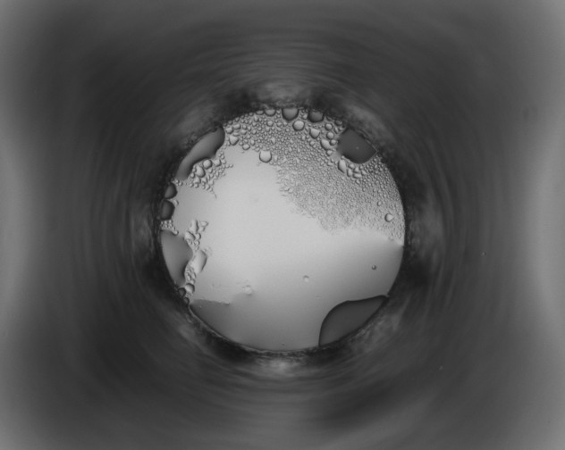 X0000086340662200704131745