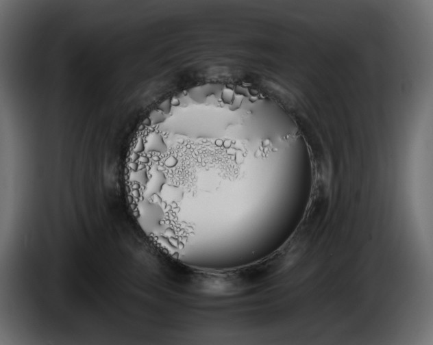 X0000086340663200704131745