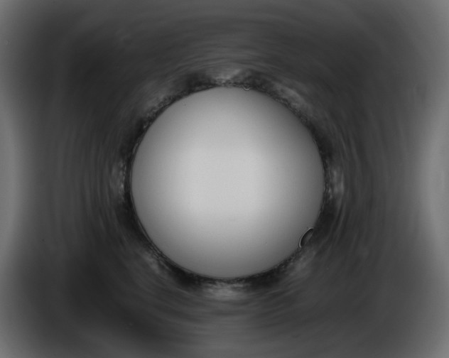 X0000086340664200704131745