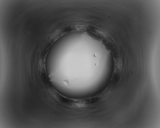 X0000086340667200704131745