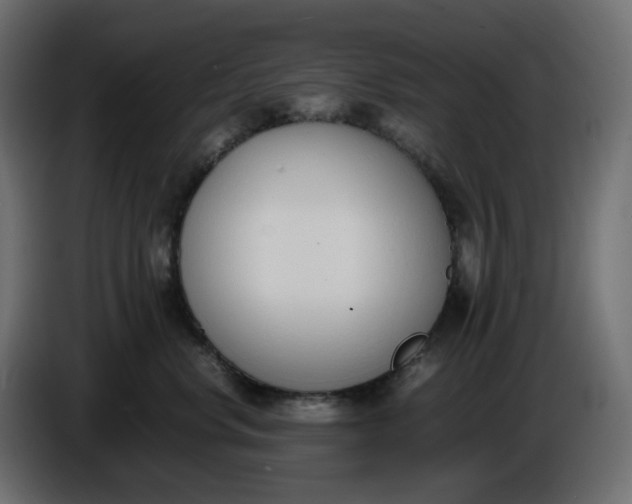 X0000086340668200704131745