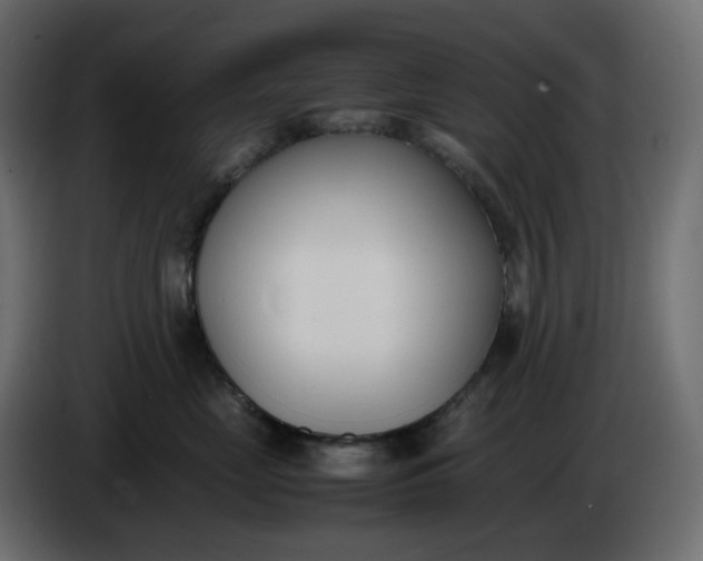 X0000086340669200704131745