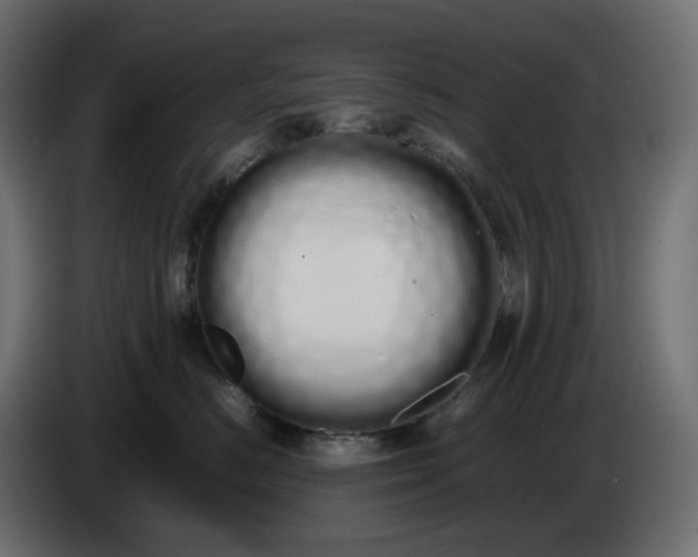 X0000086340670200704131745