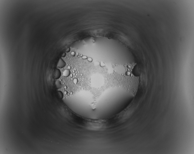 X0000086340671200704131745