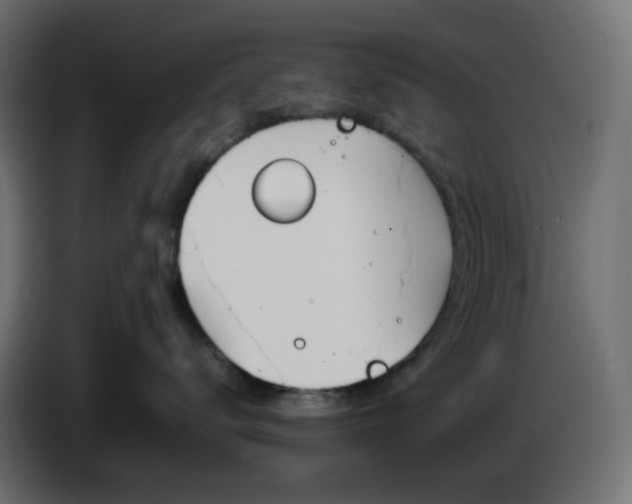 X0000086340672200704131745