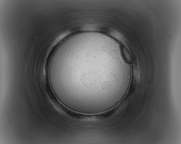 X0000086340674200704131744