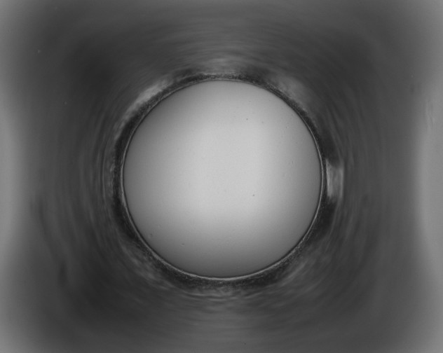 X0000086340675200704131744
