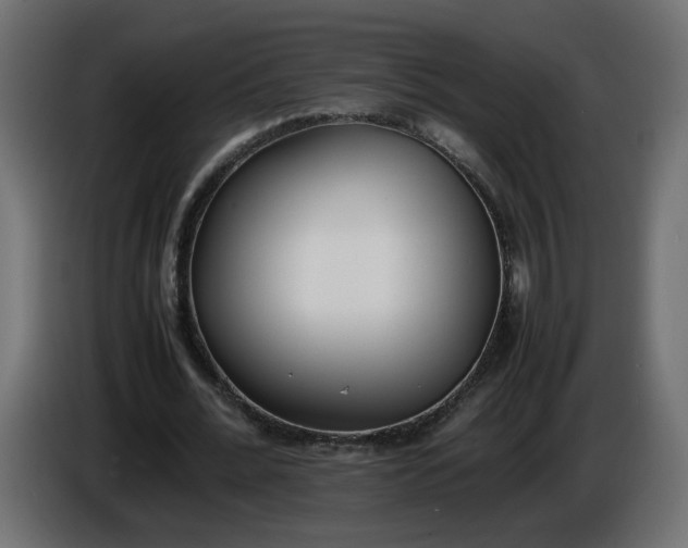 X0000086340676200704131744