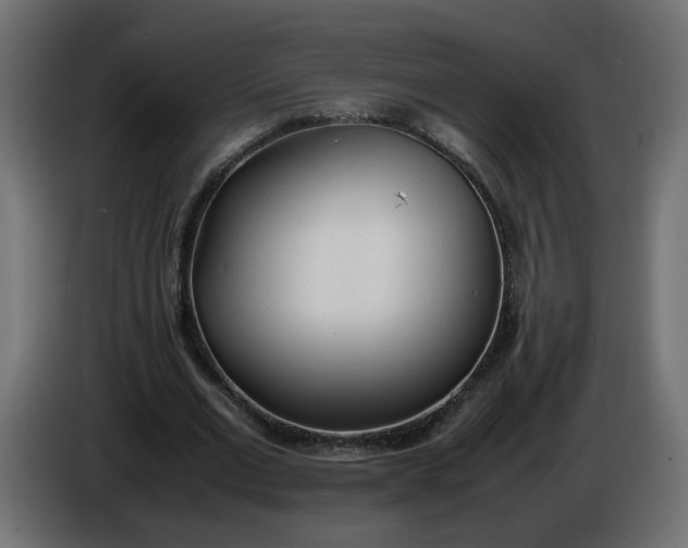 X0000086340677200704131744