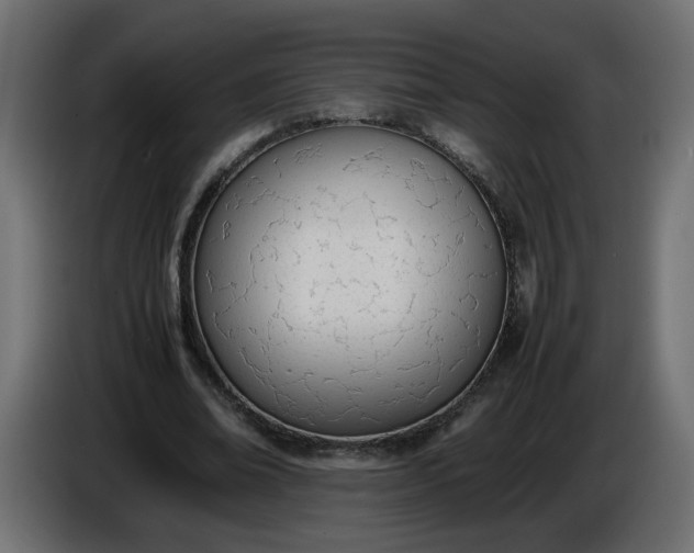 X0000086340678200704131744