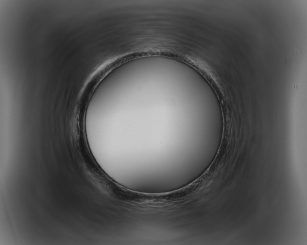 X0000086340680200704131744